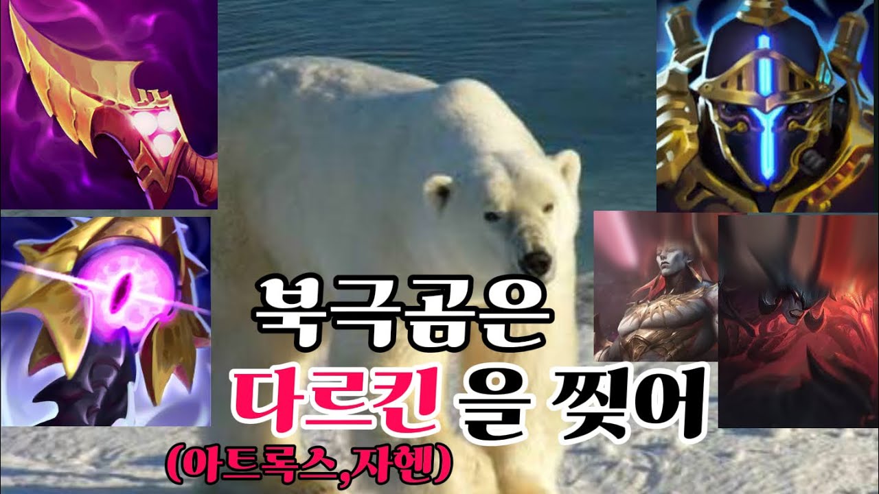 북극곰(볼리베어)은 다르킨(자헨,아트록스)를 찢어