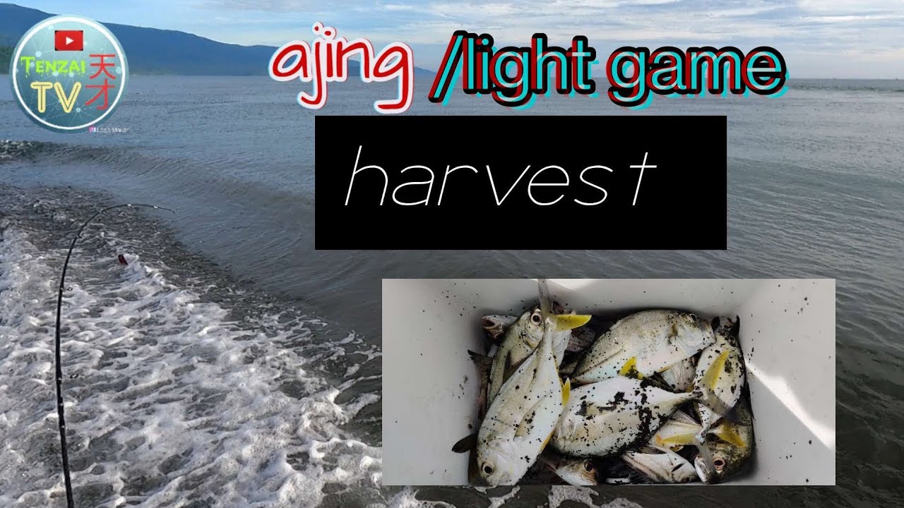 UL ep.3, ajing/light game|very productive morning|trev.hunting