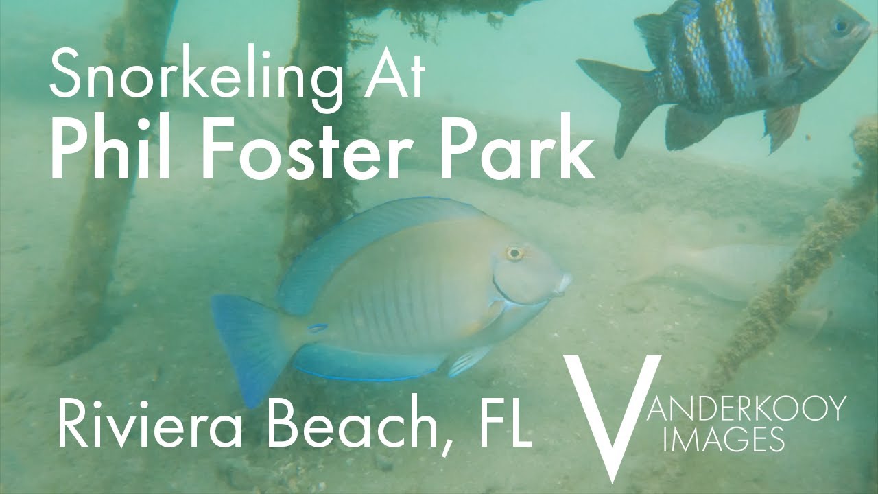 Phil Foster Park - Riviera Beach, FL - Outdoor Adventures (4K)