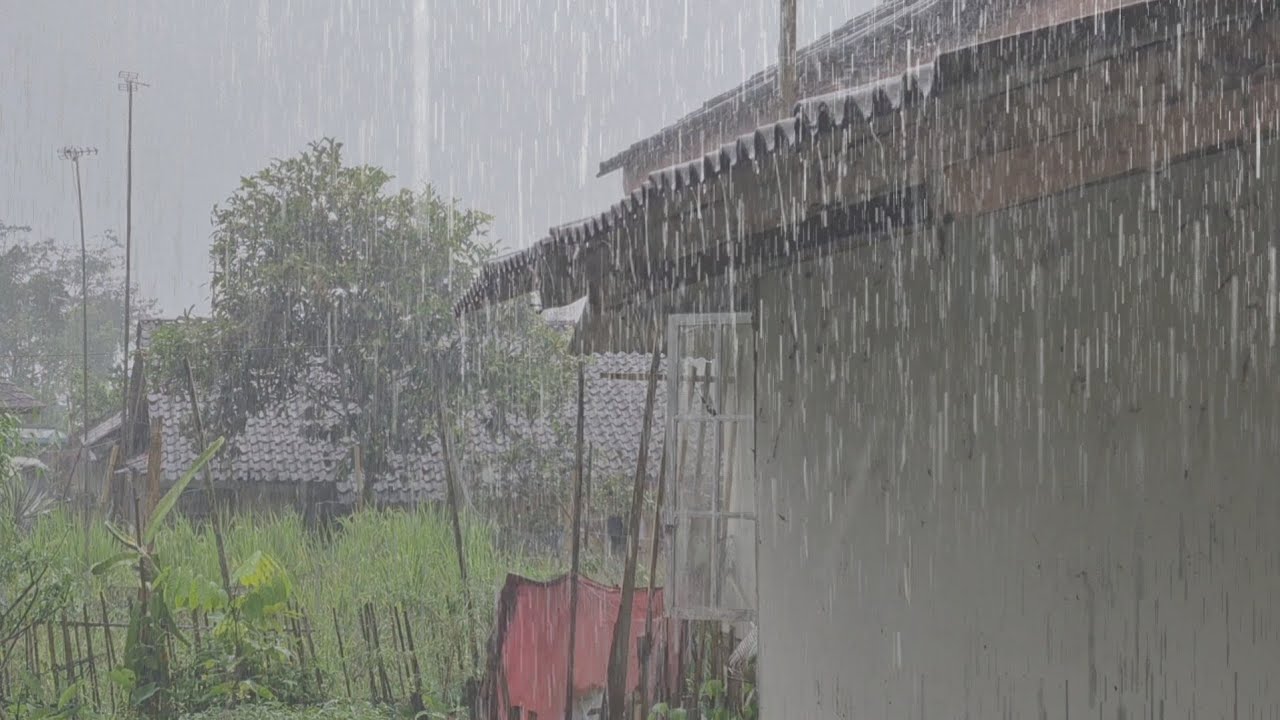 Rain Falling on Roof and Trees | Ultimate Relaxation ASMR