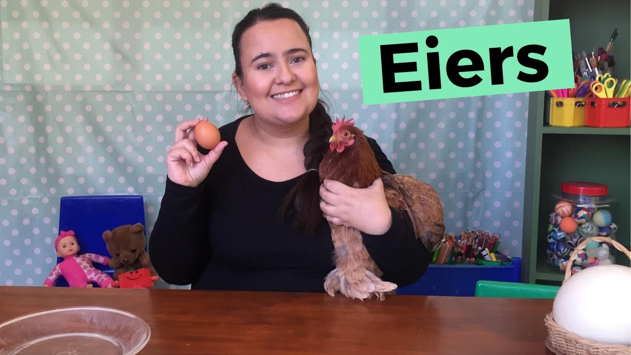Ons gesels oor EIERS!
