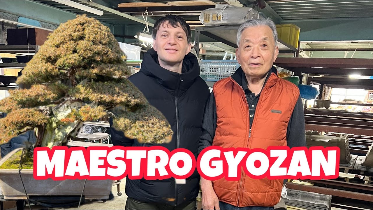 I VASI BONSAI GIAPPONESI DI NAKANO GYOZAN