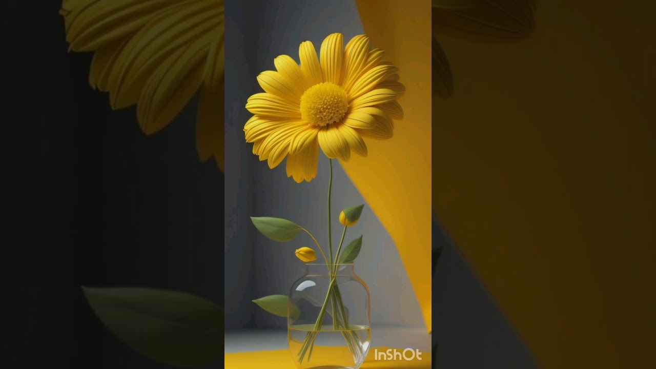 #flower #hd #hdwallpaper #wallpaper #rose #lovely #shorts #naturalbeauty #beuty