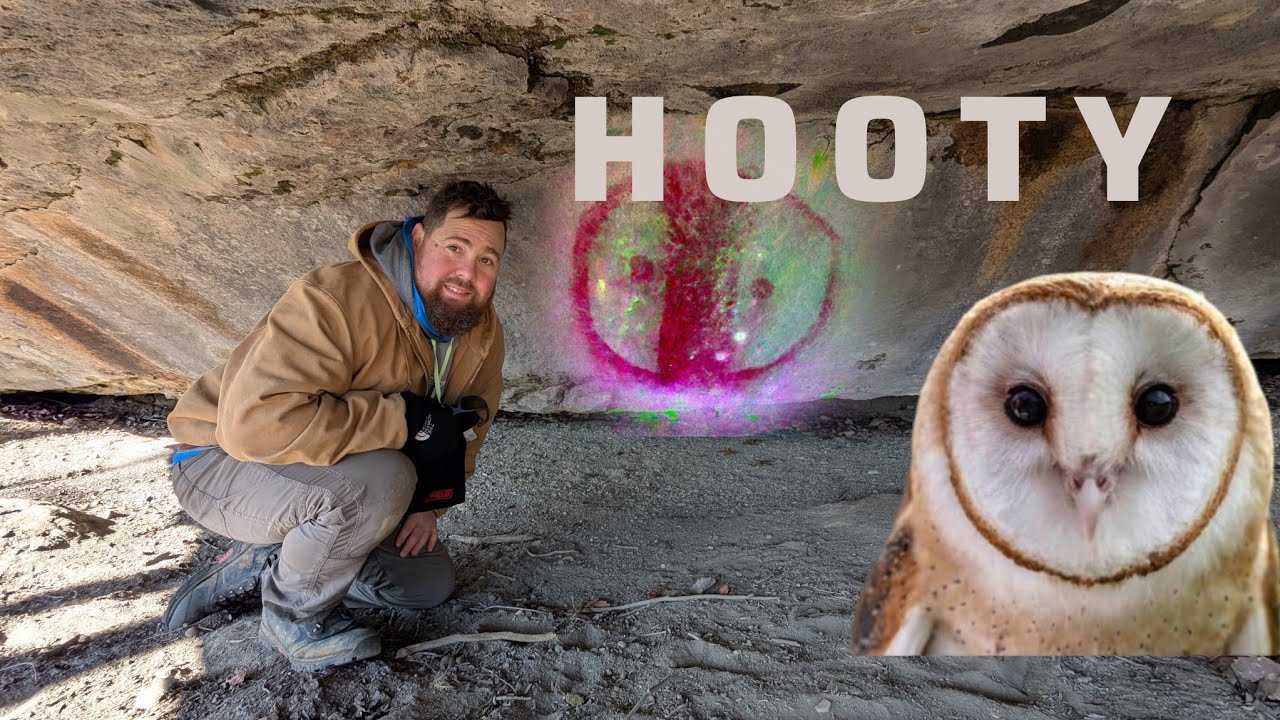 Inside a Rare Native American Rock Art Site on the Cumberland Plateau