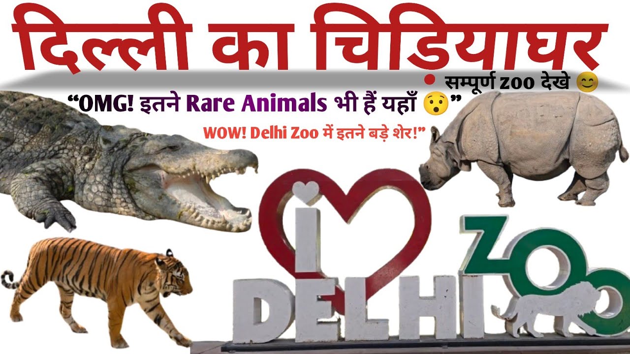 Dehli Zoo 2026 || National Zoological Park || सम्पूर्ण चिड़ियाघर देखे 😊