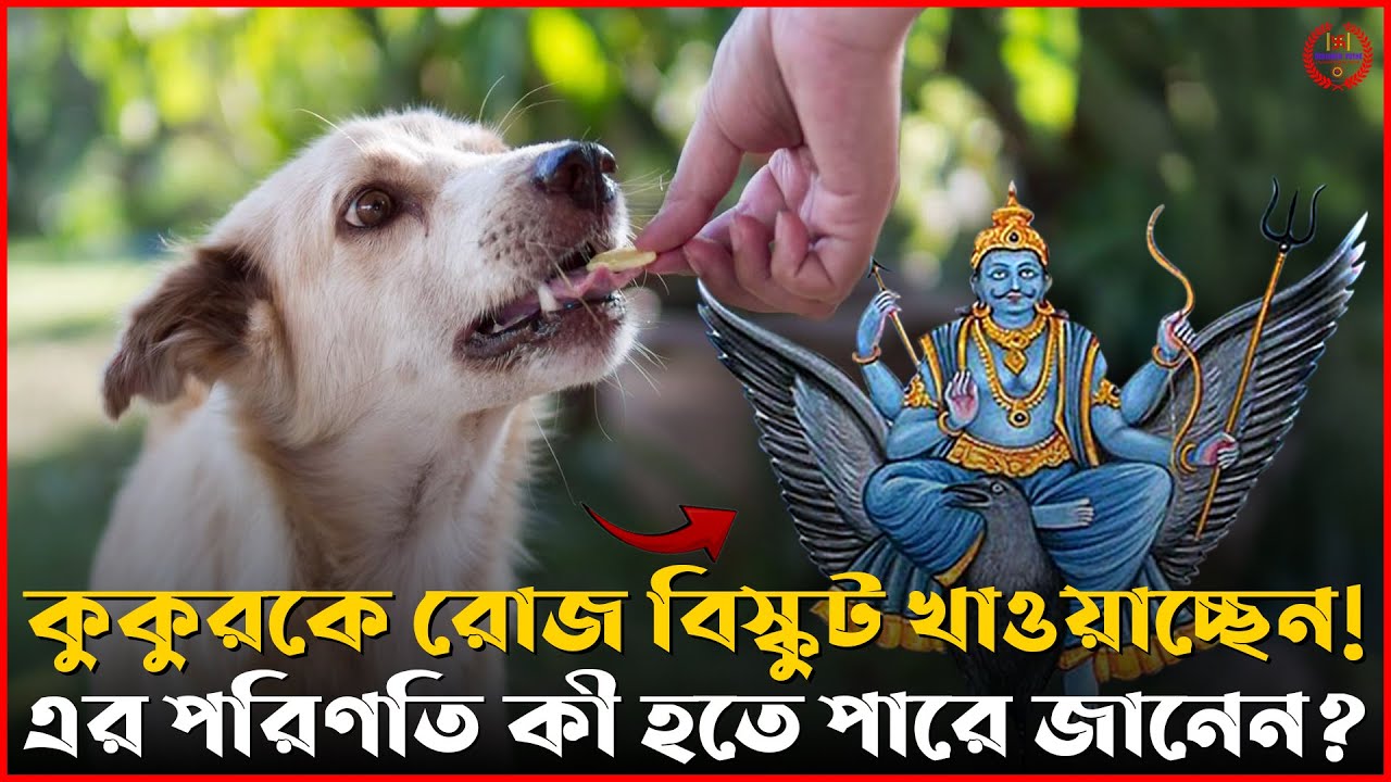 কুকুরকে বিস্কুট খাওয়ালে জীবনে কী হয়? | কালো কুকুরের মাহাত্ম্য! | Vastu & জ্যোতিষের Hidden Connection