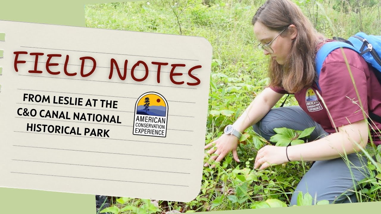 FIELD NOTES 📝 | with Leslie at C&O Canal National Historical Park