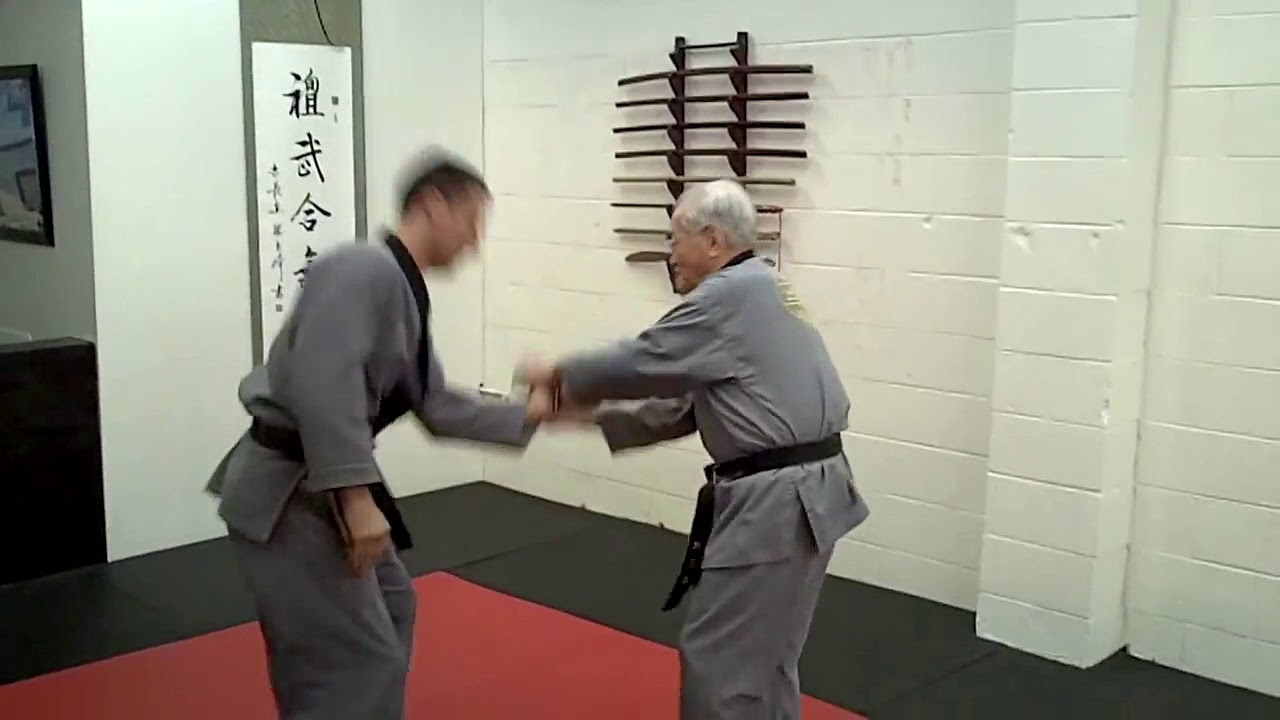 Sinmoo Hapkido Foundations: Episode 40 - Morning Demo with Dojunim