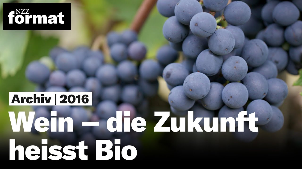 Wein – die Zukunft heisst Bio (2016)