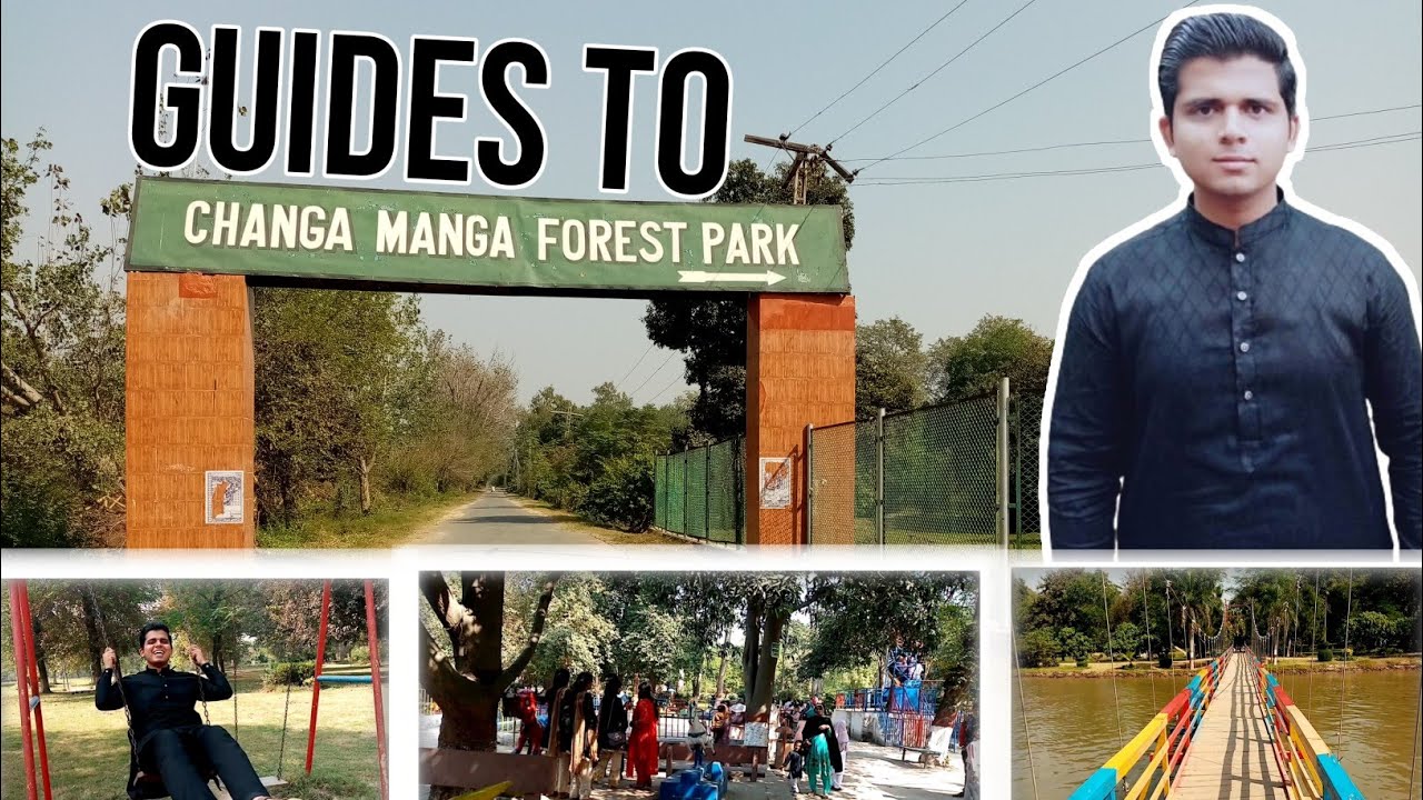 Changa Manga Forest Tour| Man Made Biggest Forest In Pakistan