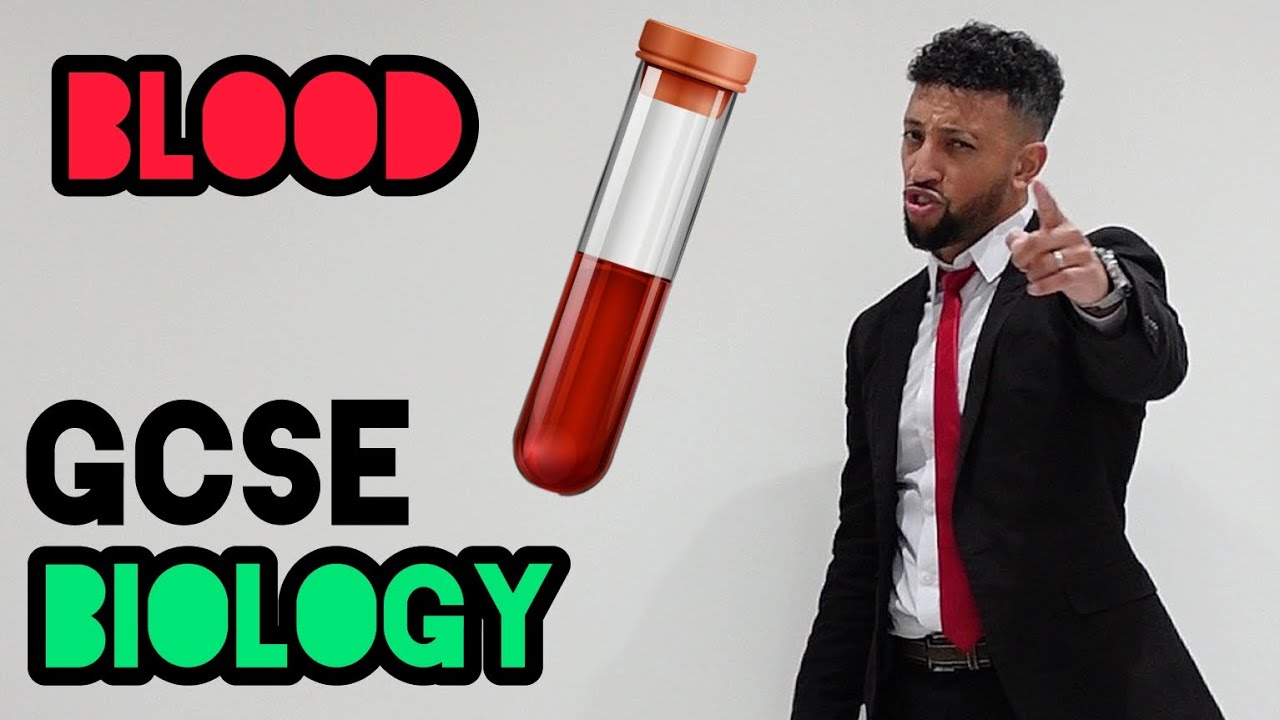 Science Raps: GCSE Biology - Blood