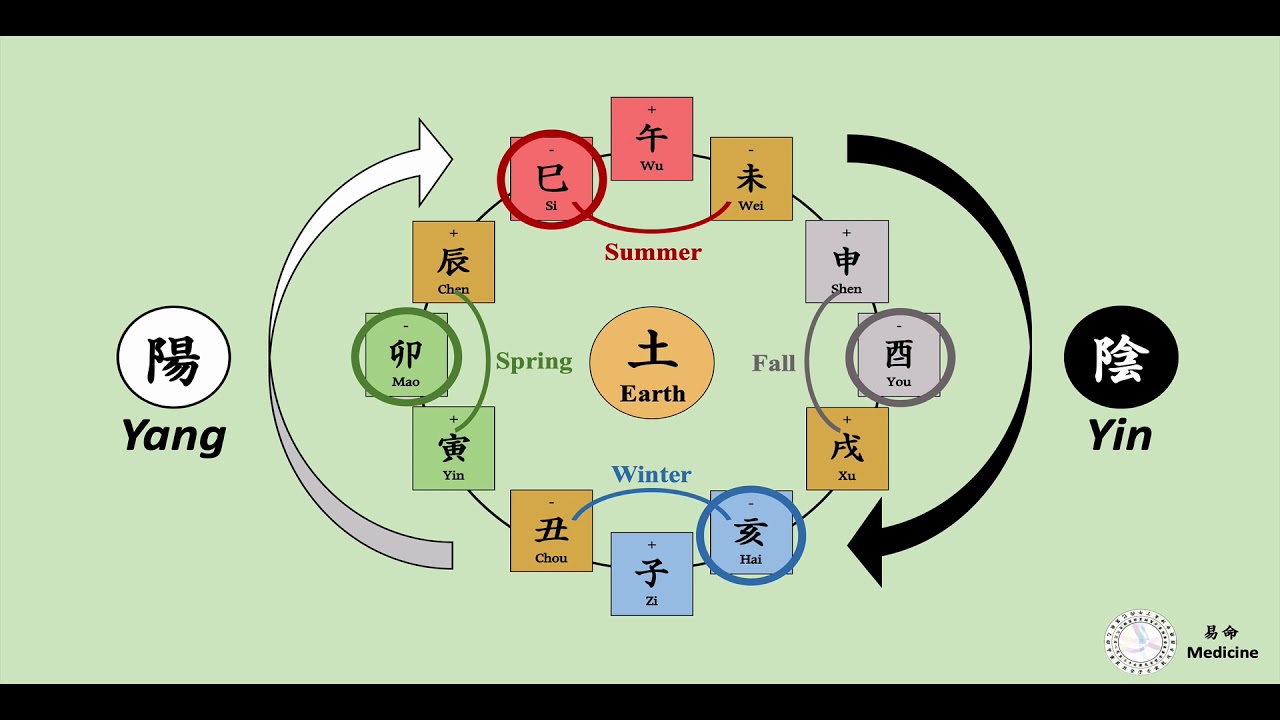 [Bazi Basic 10] Triple Combination (Part 4. 12 Channels in Acupuncture & Triple Combinations)