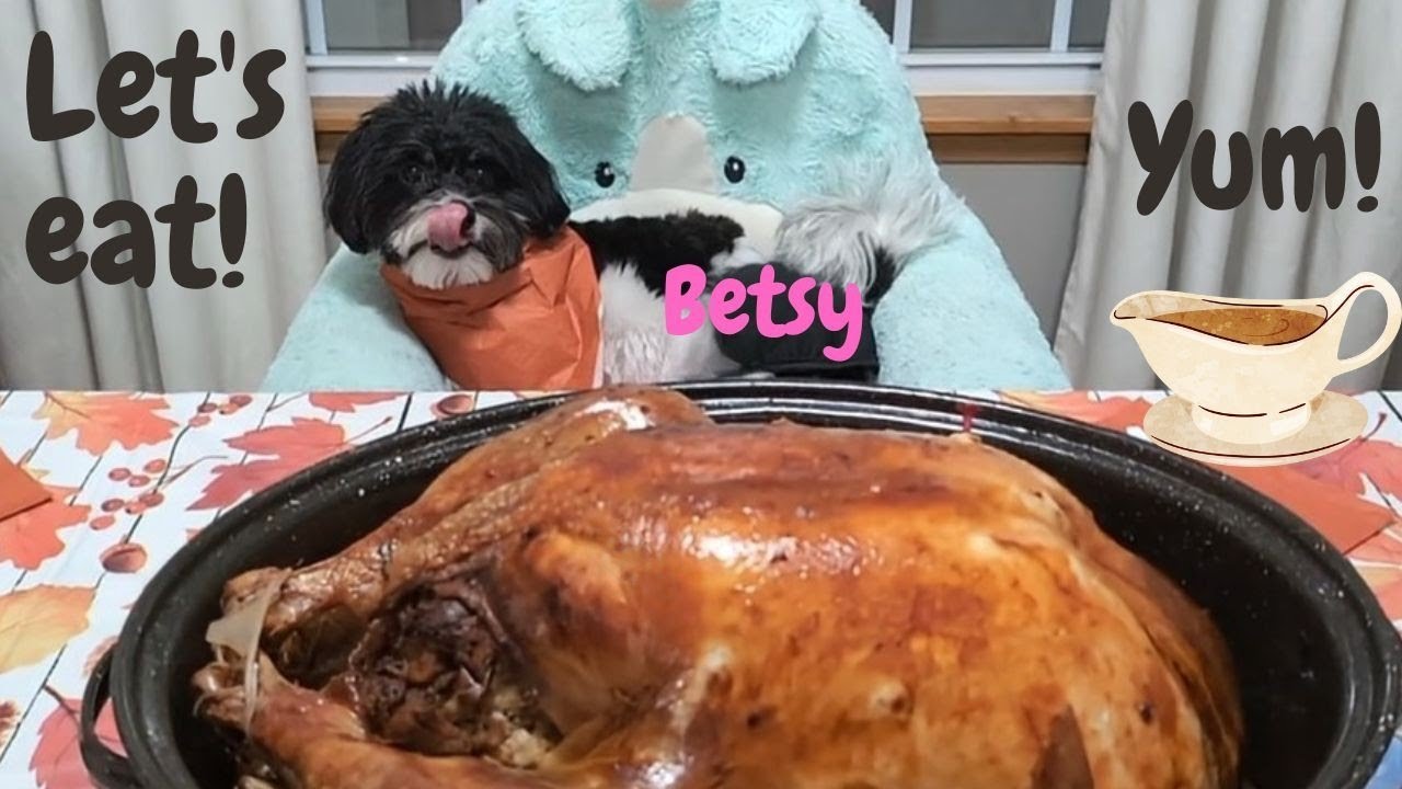 Betsy had a great Thanksgiving!🦃🥰