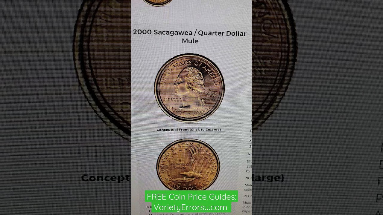 What is a 2000 Mule coin worth? Washington/ Sacagawea error #coin #rare #treasure #gold #trending