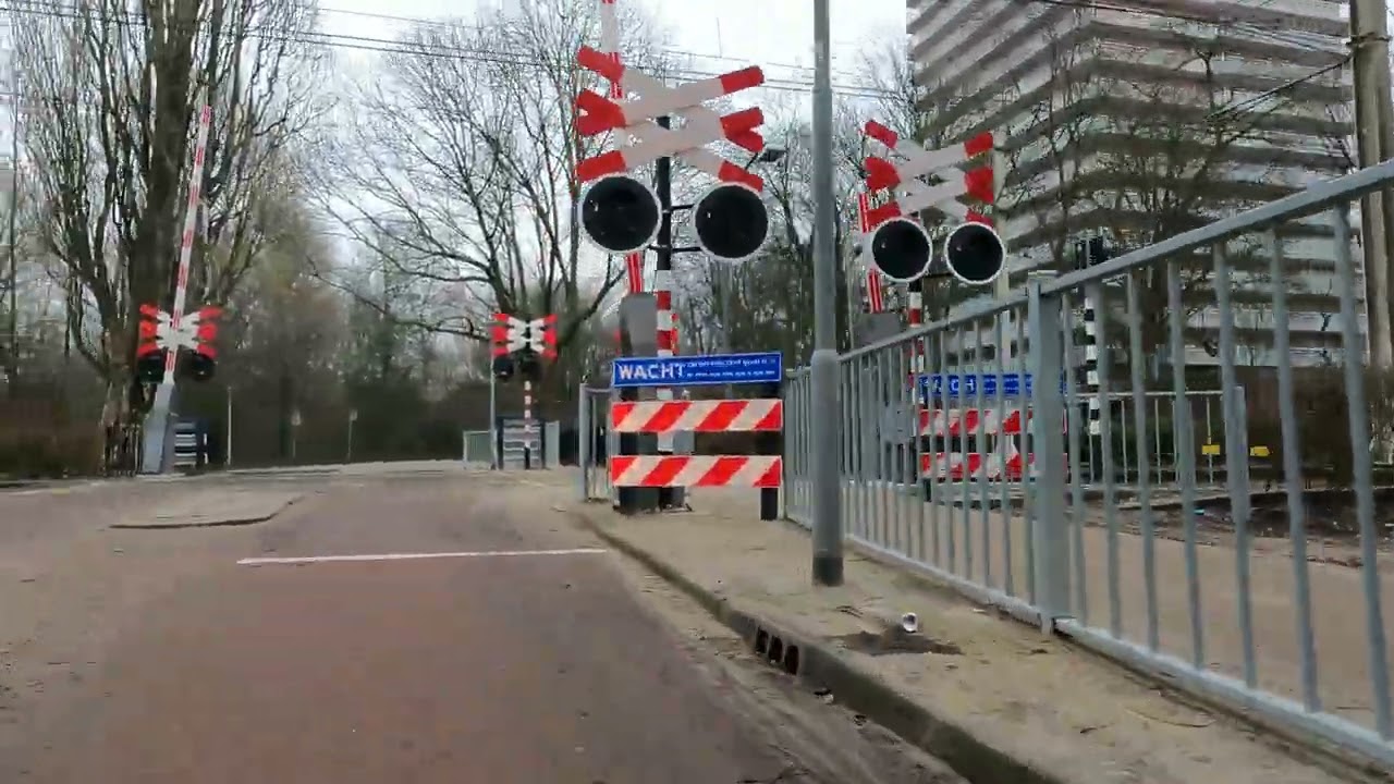 Rotterdam Ommoord tour