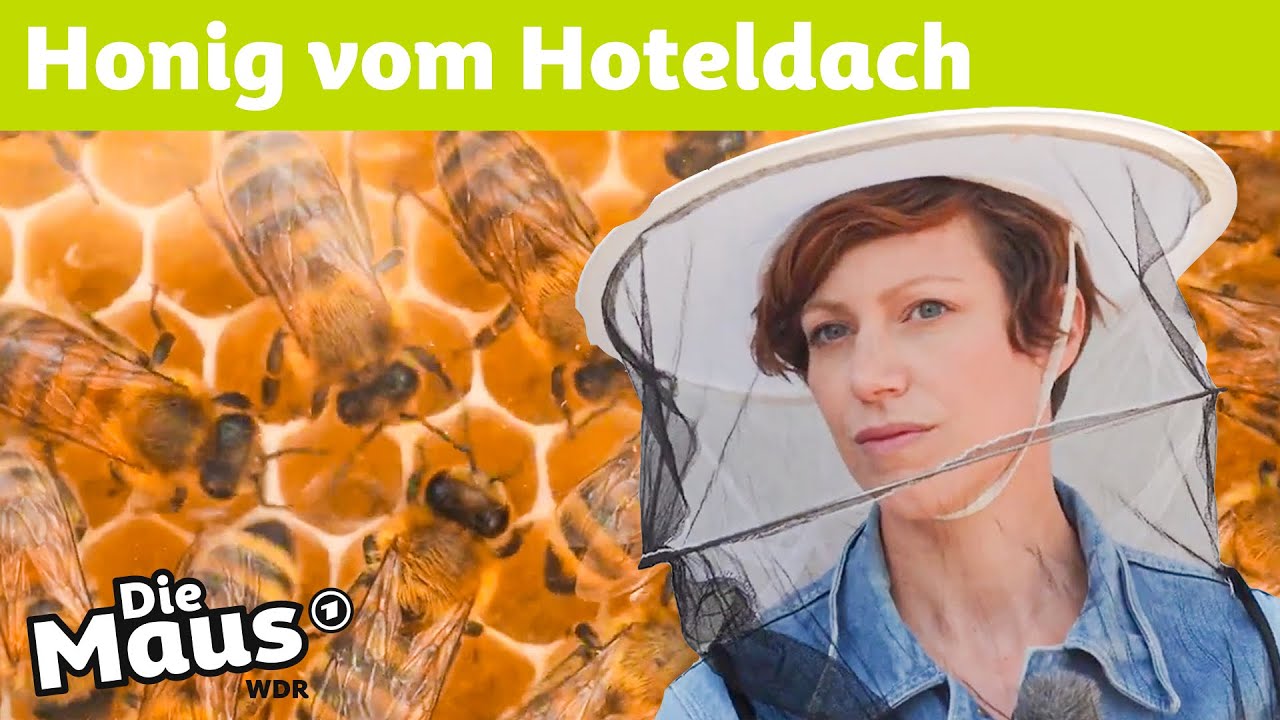 Bienen in der Stadt | DieMaus | WDR