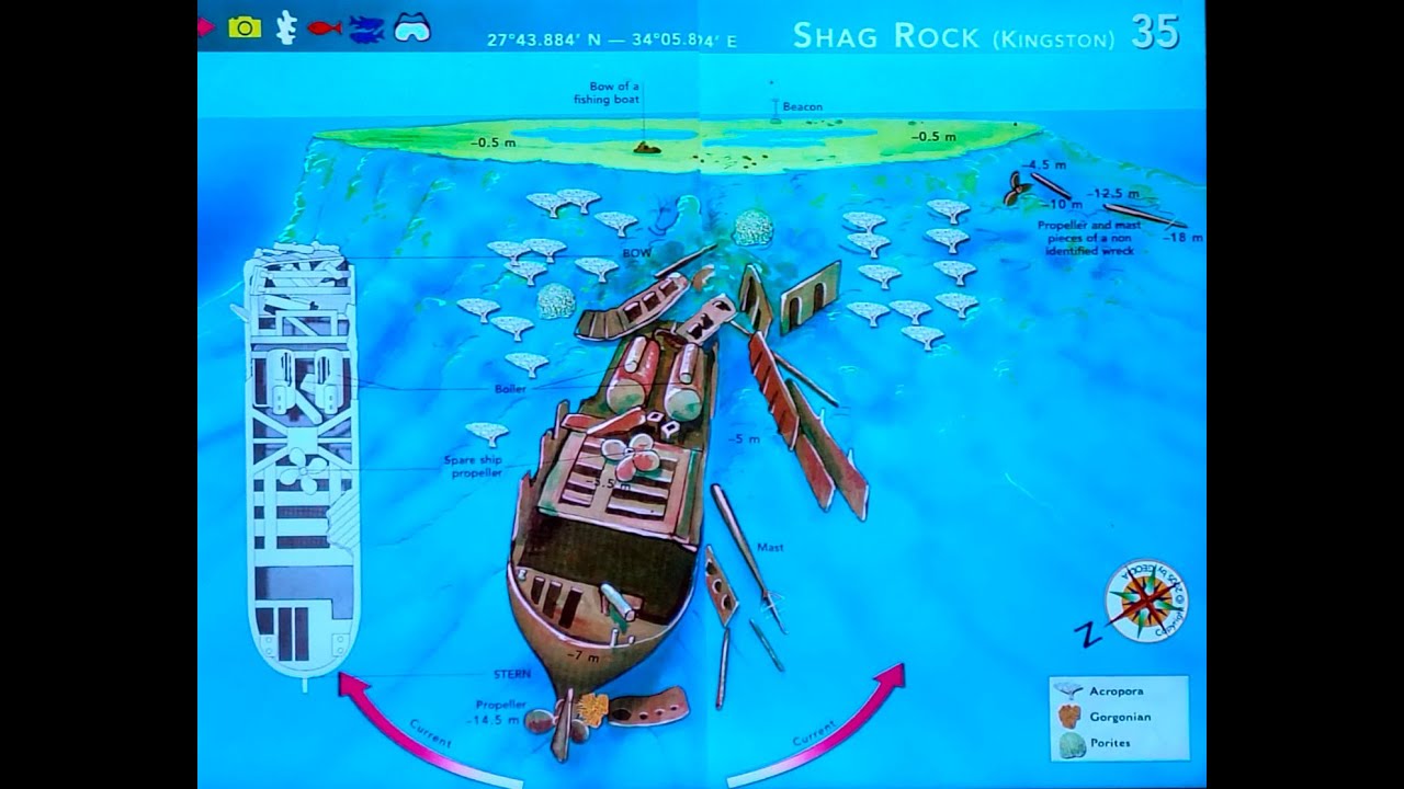 Inmersión de buceo 
