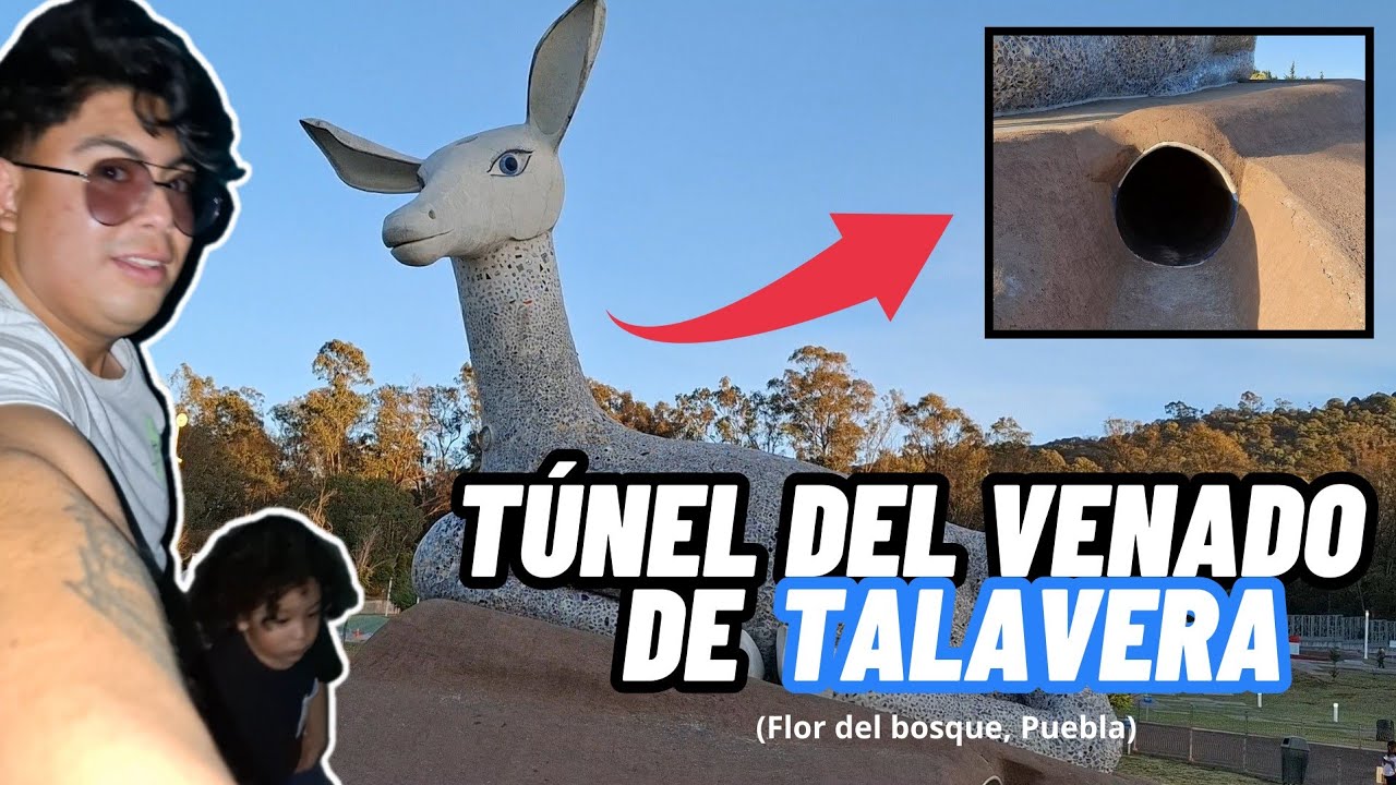 Zoológico, tuneles y mucha arena 🌳 | Visitando el parque 