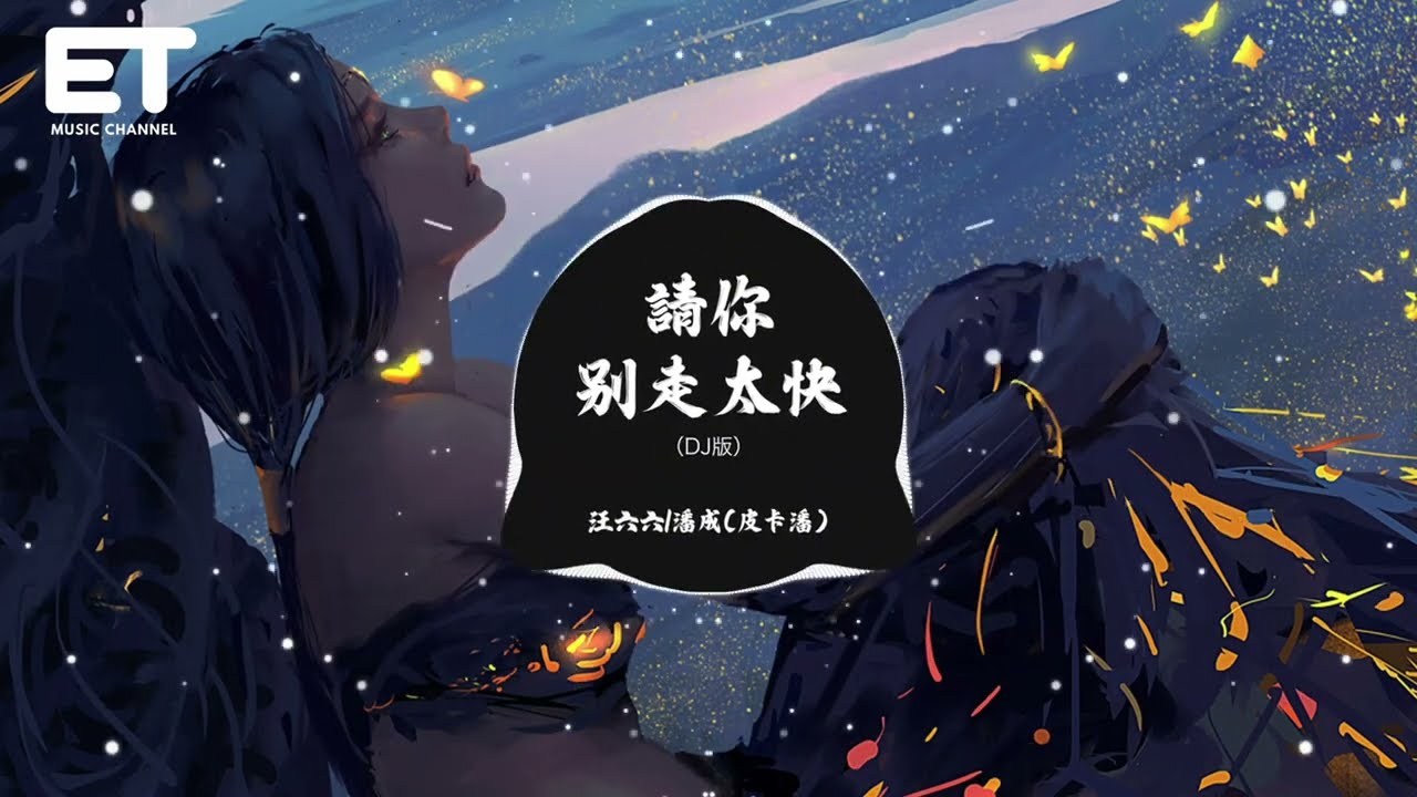 汪六六/潘成（皮卡潘）- 請你別走太快（DJ版）『現實打碎了我的幻想也不會再有綵排，從前的快樂開始反噬它形成了一片陰霾。』【動態歌詞MV】