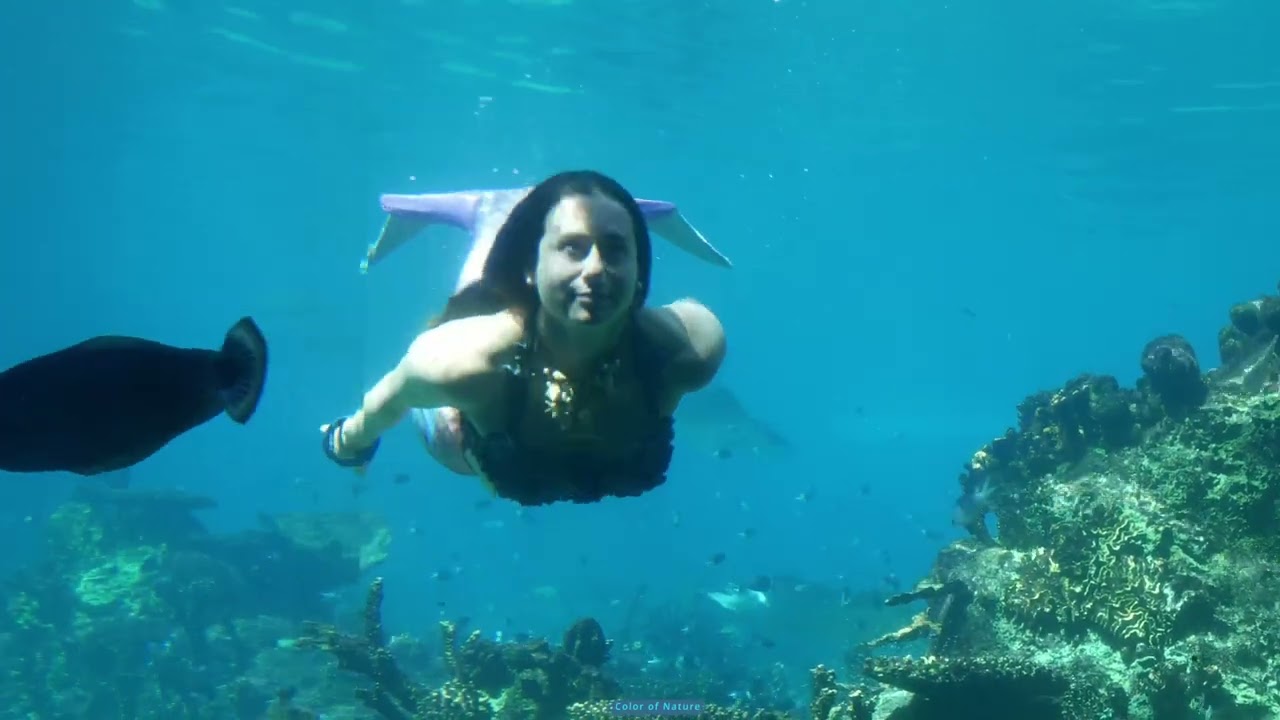 MERMAIDS