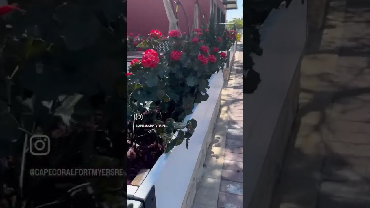 Downtown Cape Coral #capecoral #movingtoflorida #realtor #swfl #capecoralflorida