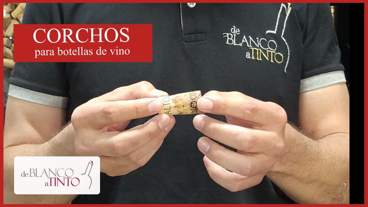 CORCHOS para VINO - Descubre la importancia que tienen. 🍾