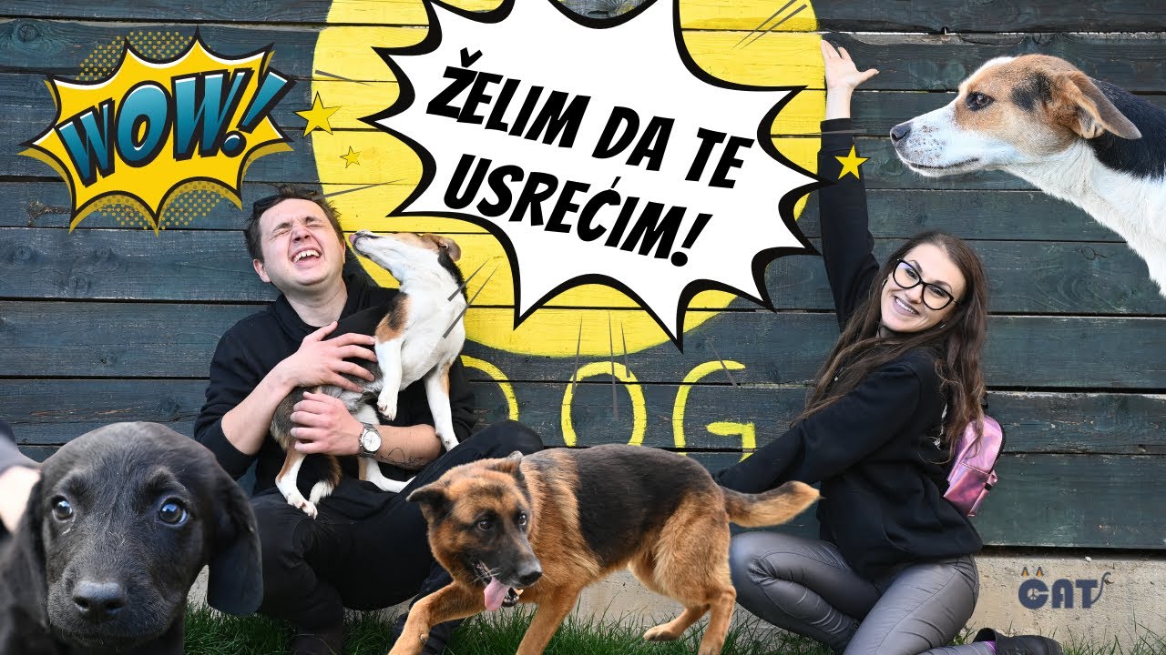 Proveli smo dan u Azilu za pse . IZNENAĐENJE NA KRAJU VIDEA - PodPatrola, Azil za pse Nirina Tuzla