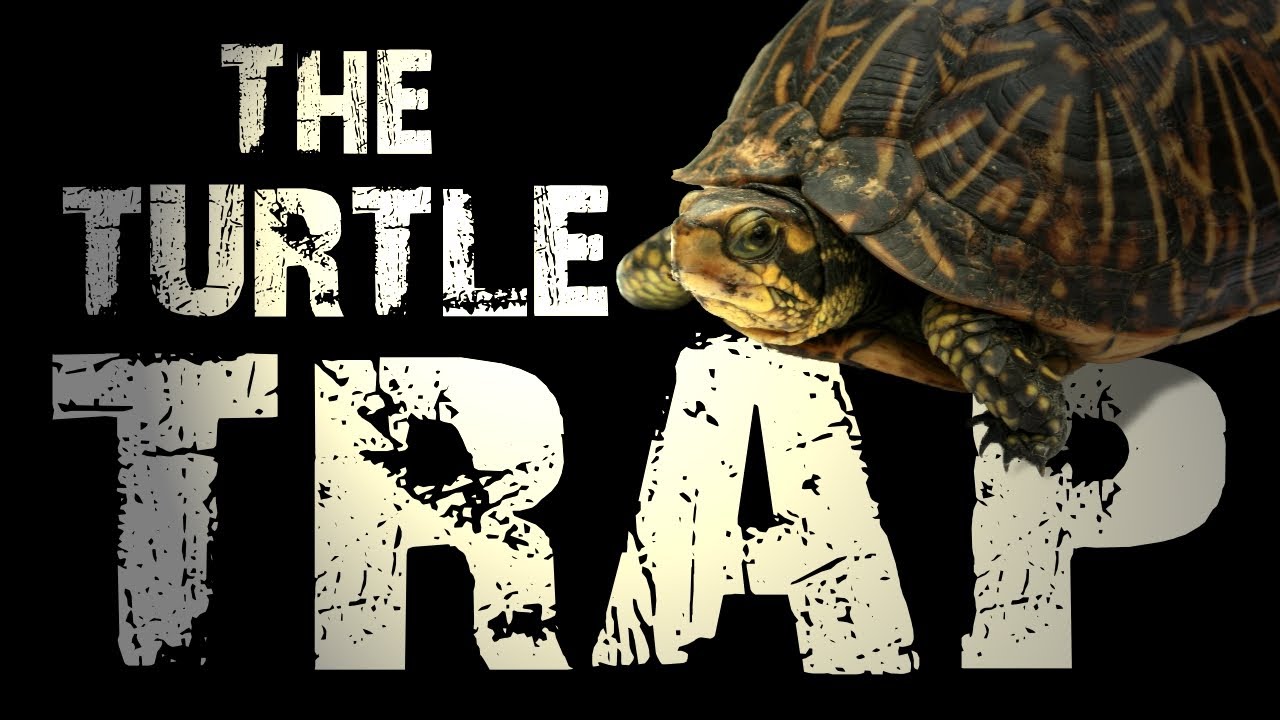 How to: Turtle Trap