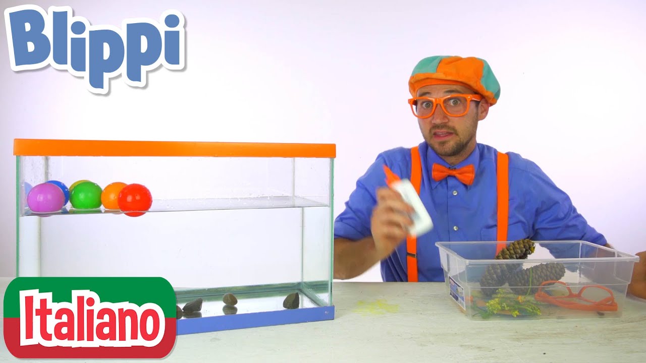 Affonda o galleggia? | Blippi in Italiano | Video educativi per bambini