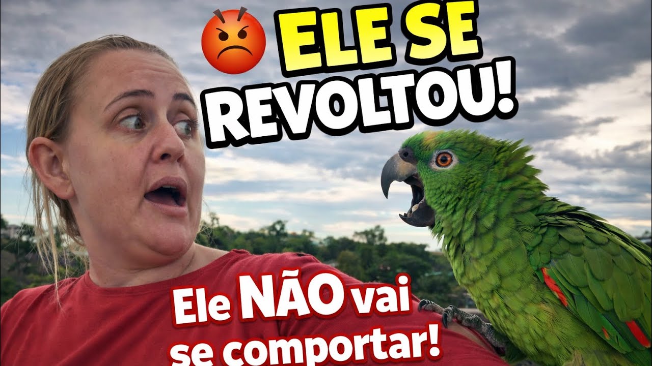 Tive Que Sair de Casa e Dei um Sermão no Bicudo 🦜😂 | Será Que Ele Se Comportou?