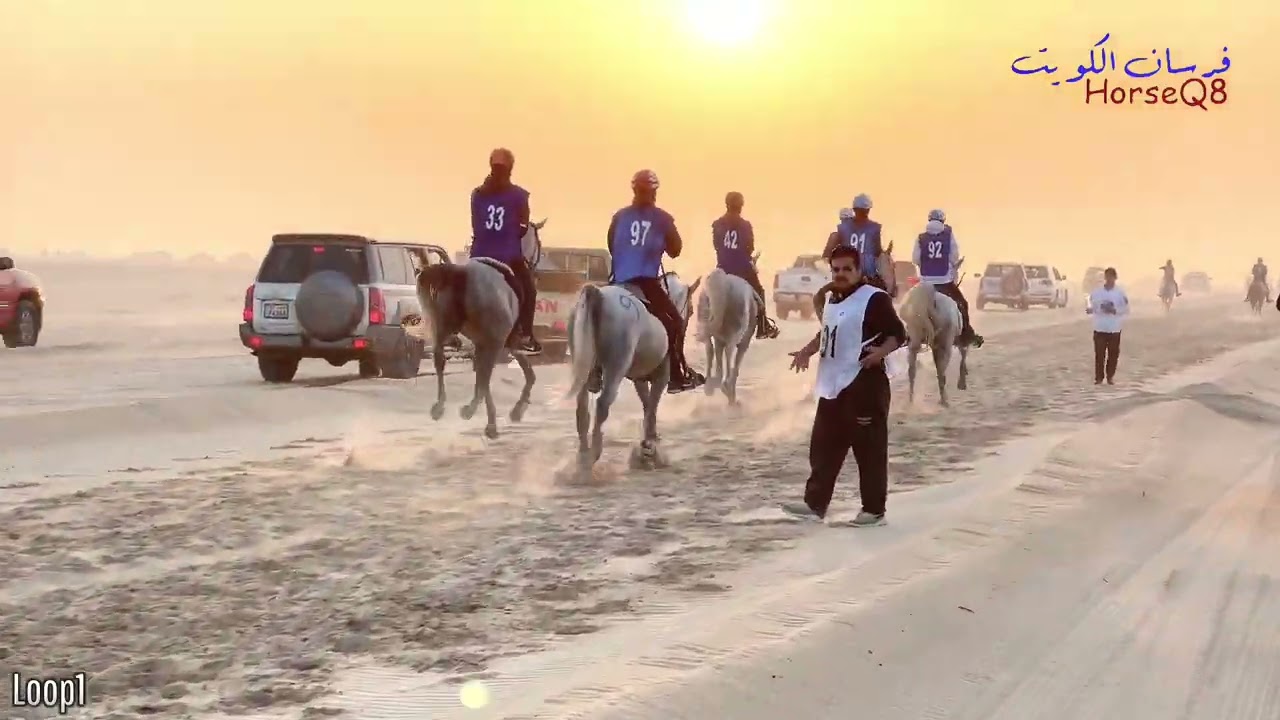 البطولة الثانية للقدره والتحمل 2023/2022