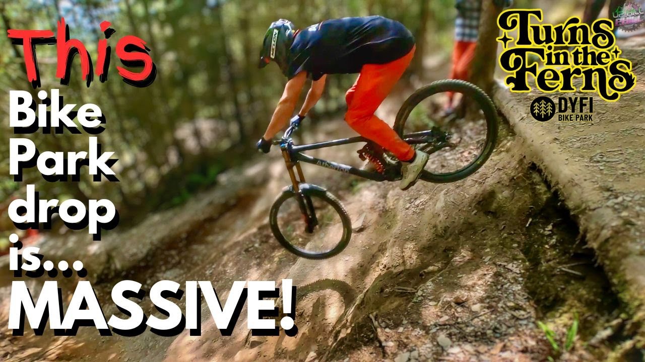 🌿 Dyfi bike park - Turns in the Ferns - Is the Step Down a STEP TOO FAR? 