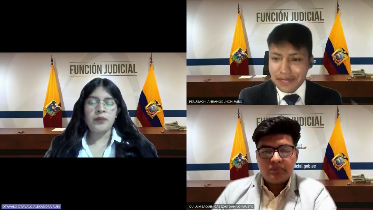 Práctica de la Prueba y Alegato - Caso N°: 10333201900408