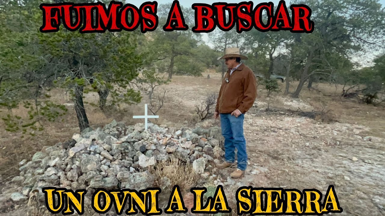 LLEGAMOS DE NOCHE PARA VER QUE HAY AQUÍ 