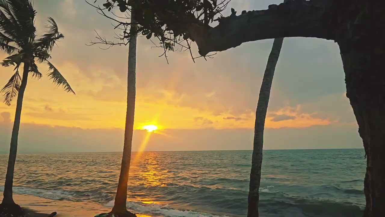 Golden Sunset Over the Ocean 🌴 | Relaxing Tropical Evening Scenery