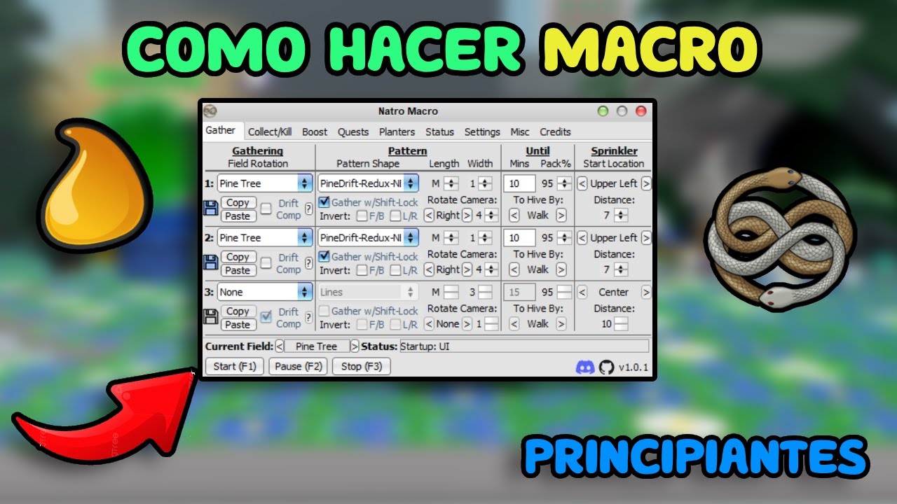COMO HACER MACRO EN BEE SWARM
