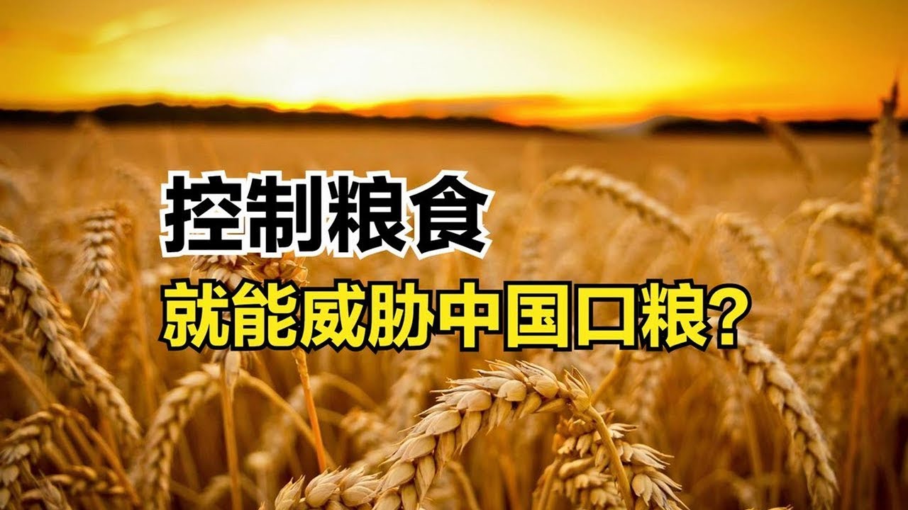 世界糧食危機下，中國口糧還安全嗎？早有準備