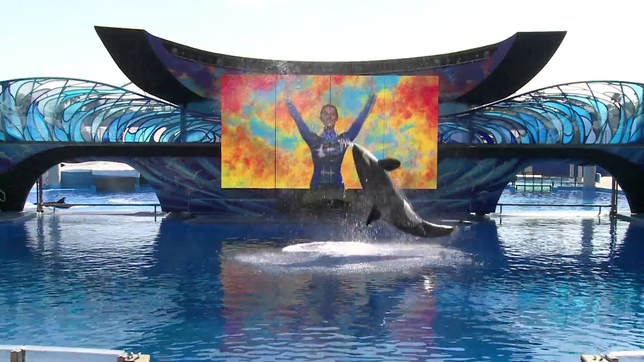 One Ocean Opening Day SeaWorld Orlando