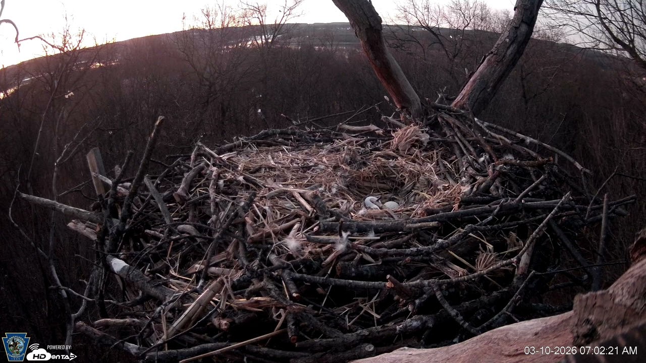 Hanover Eagles Live Cam   HDOnTap — Mozilla Firefox 2026 03 10 06 58 43