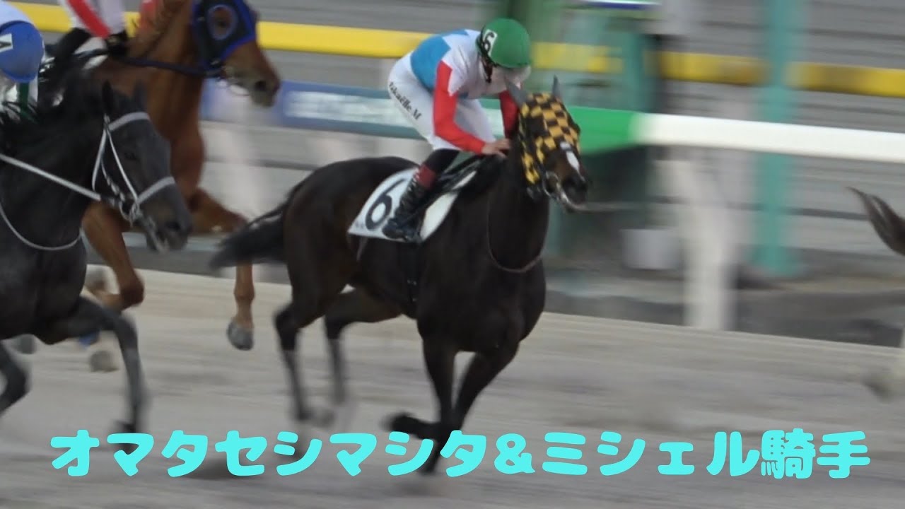 【現地撮影】2024年12月17日船橋競馬4Rオマタセシマシタ&ミシェル騎手
