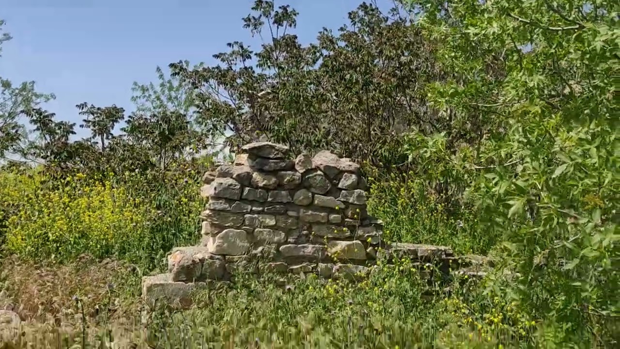 Akasiyalar, yuxarı məhəllə, Nüzgar kəndi