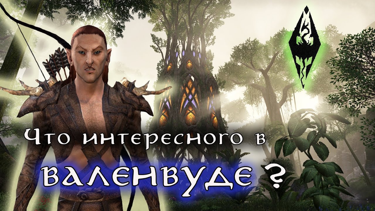 Что интересного в ВАЛЕНВУДЕ ? Босмеры-каннибалы и многое другое | TES Лор
