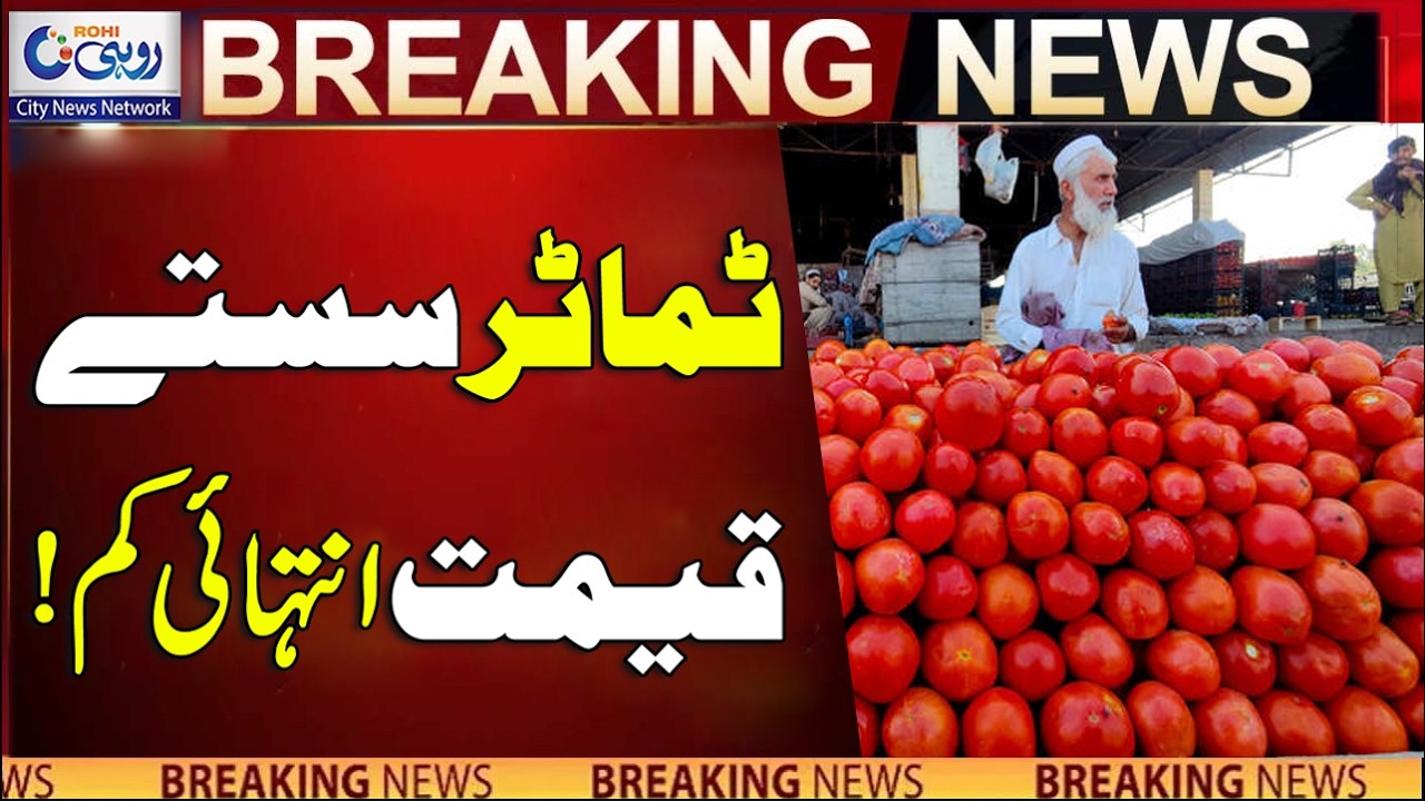 Big Drops In Tomatoes Price - Breaking News - Rohi