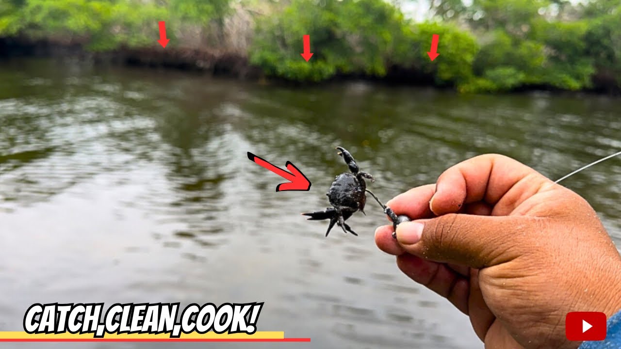 NOTHING was BITING until I DID THIS! *Tampa Bay Fishing*