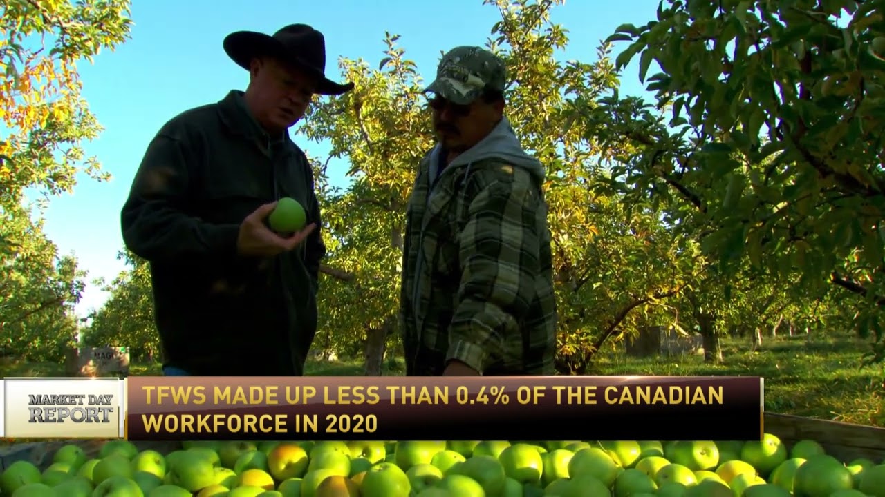 RFDTV: Canada makes changes to the temporary foreign worker program