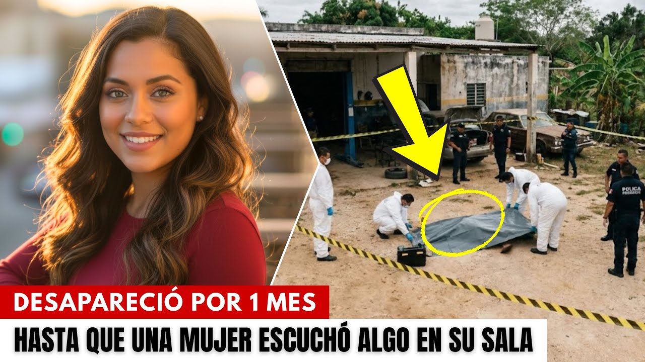 Ingeniera desapareció visitando una casa. 1 mes después, una mujer escuchó algo en su sala