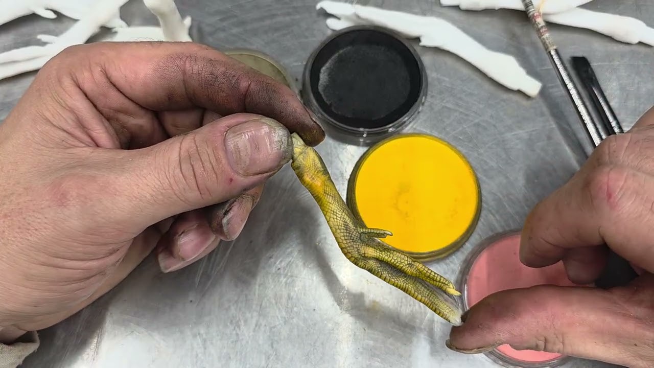 Evolution Series Artificial duck feet introduction. Painting a Wood Duck foot using Pan Pastels