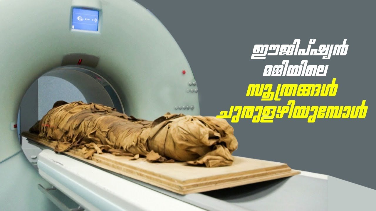 മമ്മിഫികേഷന്റെ പിന്നിലെ രഹസ്യങ്ങൾ. Mummification malayalam