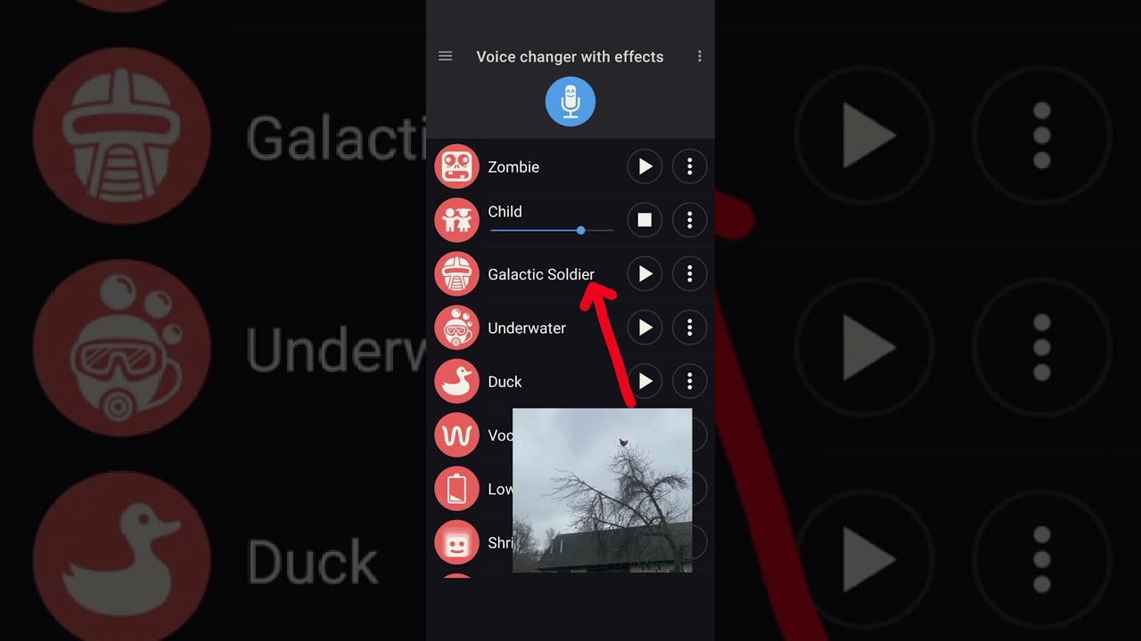 Voice Changer with Effects Chicken Meme