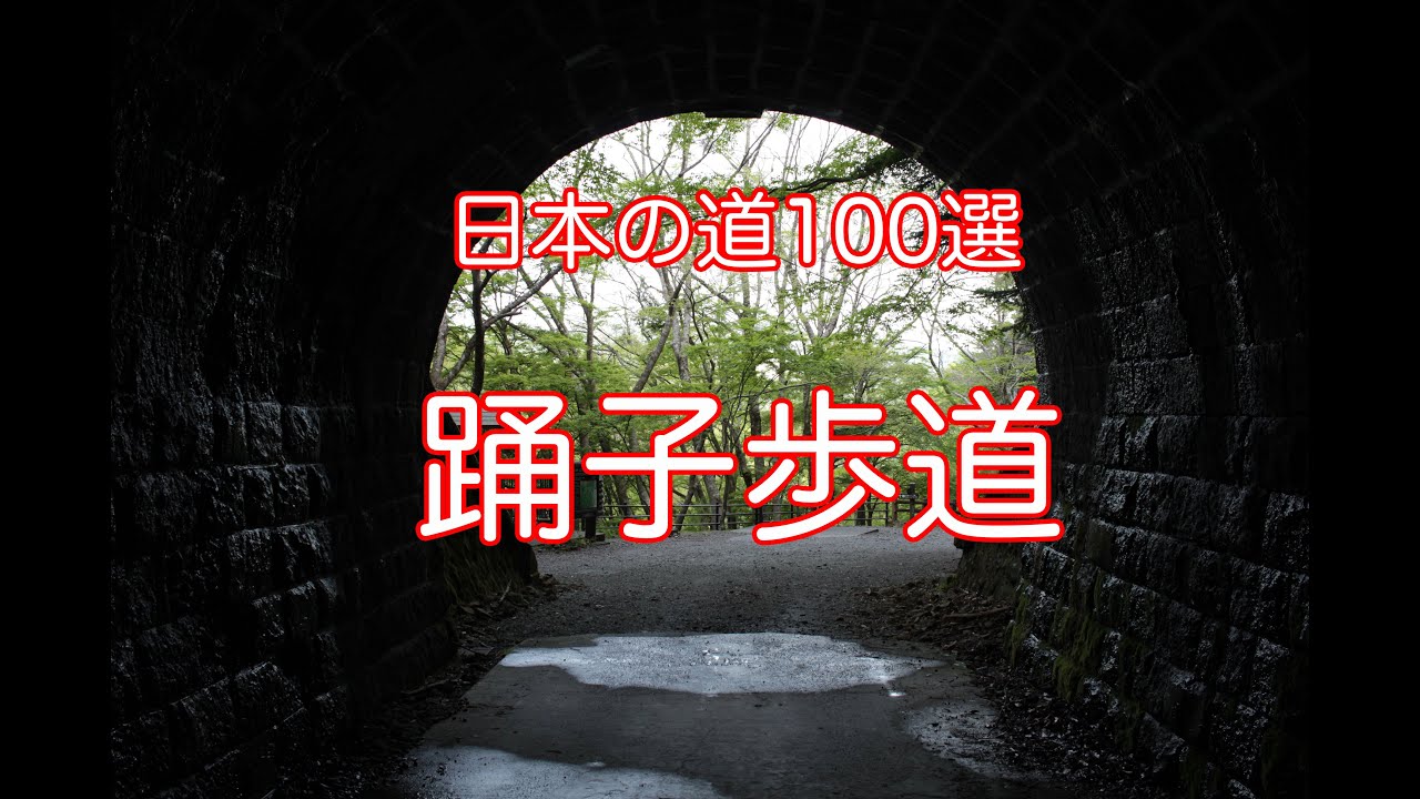 【日本の道100選】踊子歩道を歩く【旧天城トンネル】